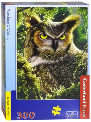 Puzzle-300 "Сова. Наблюдение" (В-030231) обложка книги