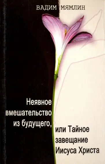 Вадим Мямлин - Неявное вмешательство из будущего, или Тайное завещание Иисуса Христа обложка книги