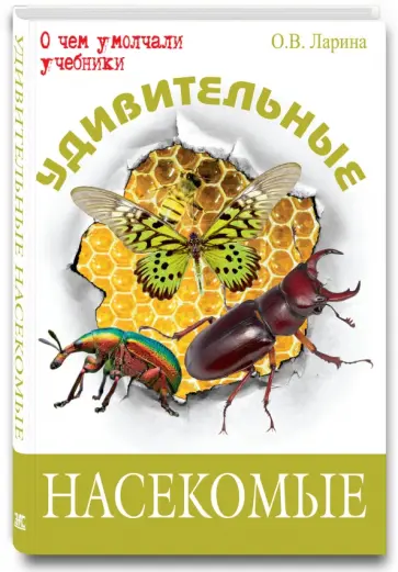 Оксана Ларина - Удивительные насекомые обложка книги