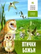 Славные истории
