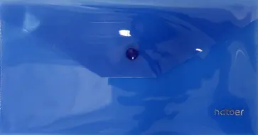 Папка-конверт на кнопке, 224х119 мм, синяя (AKk6_00002) обложка книги