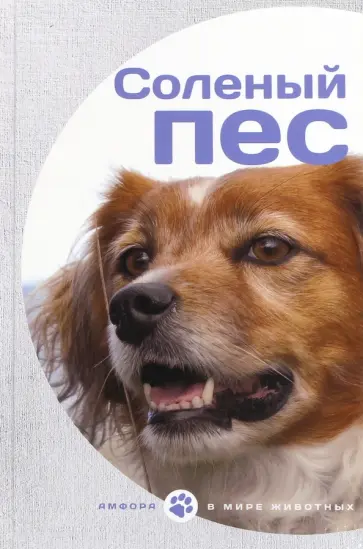 Коваль, Кнорре - Соленый пес Коваль, Кнорре - Соленый пес обложка книги