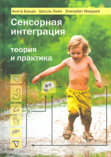 Банди, Лейн - Сенсорная интеграция. Теория и практика обложка книги