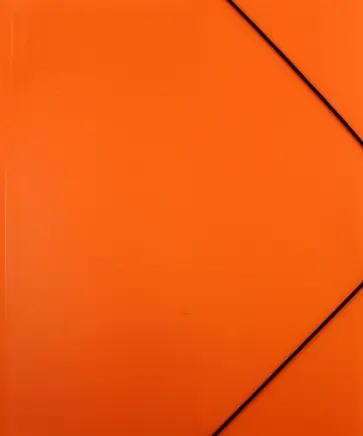 Папка пластиковая с клапанами на резинке "DIAMOND NEON оранжевая", А4 (Пк4р_02035) обложка книги