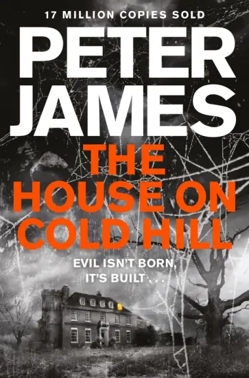 Peter James - The House on Cold Hill обложка книги