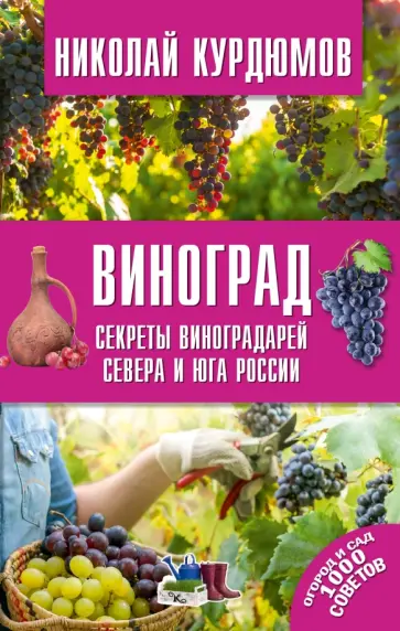 Николай Курдюмов - Виноград. Секреты виноградарей севера и юга России обложка книги