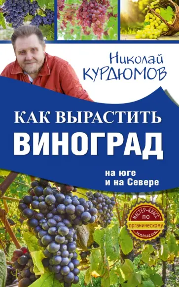 Николай Курдюмов - Как вырастить виноград на Юге и на Севере обложка книги