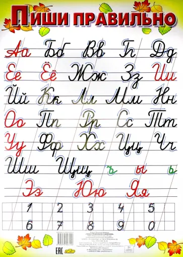 Пиши правильно (с цифрами) (520х800) обложка книги