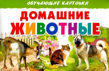 Карточки. Домашние животные обложка книги