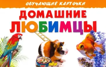 Карточки. Домашние любимцы обложка книги