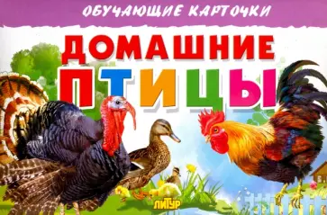 Карточки. Домашние птицы обложка книги