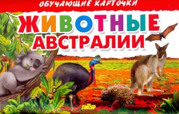 Карточки. Животные Австралии обложка книги