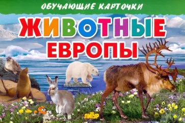 Карточки. Животные Европы обложка книги