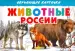 Миниатюра 1