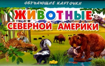 Карточки. Животные Северной Америки обложка книги