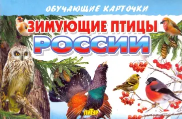 Карточки Зимующие птицы России обложка книги