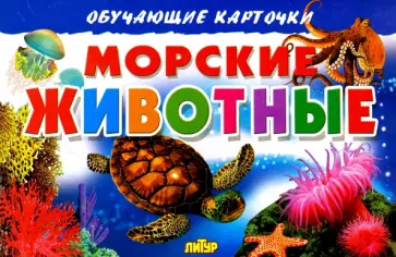 Карточки. Морские животные Карточки. Морские животные обложка книги