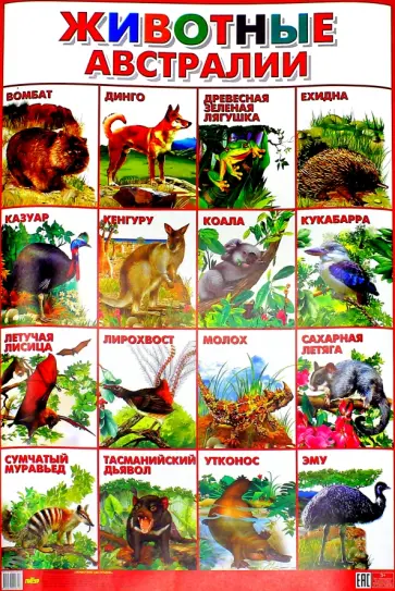 Плакат "Животные Австралии" (550х770) обложка книги