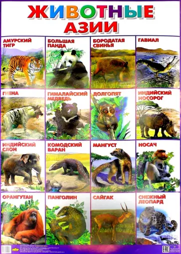 Плакат "Животные Азии" (550х770) обложка книги