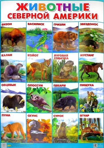 Плакат "Животные Северной Америки" (550х770) обложка книги