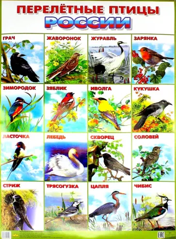 Плакат "Перелетные птицы России" (550х770) обложка книги