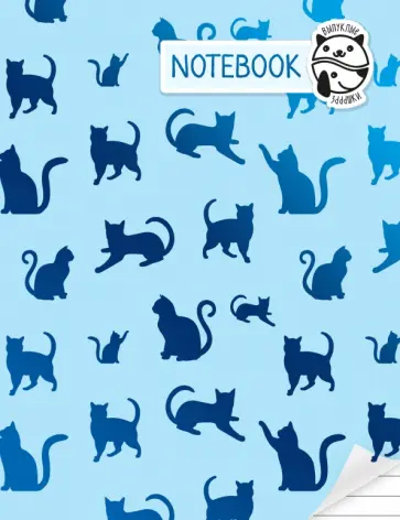 Блокнот "Notebook", А5+ обложка книги