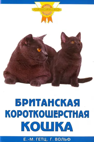 Ева-Мария Гетц - Британская короткошерстная кошка обложка книги