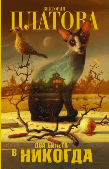 Виктория Платова - Два билета в никогда Виктория Платова - Два билета в никогда обложка книги