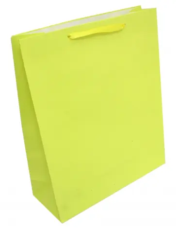 Пакет бумажный 32*26*10 "Классика" (М-8032) обложка книги