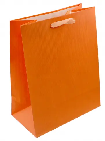 Пакет бумажный "Классика" (23х18х10 см, в ассортименте) (М-8033) обложка книги