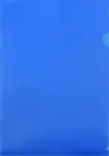 Папка-уголок (A4, пластик, 0.18 мм, синяя) (E310/1BLU) обложка книги