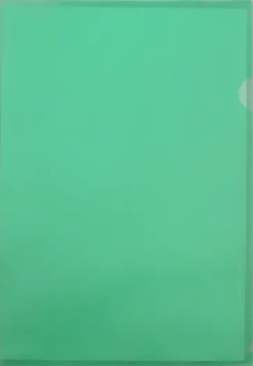 Папка-уголок, A4, зеленая обложка книги