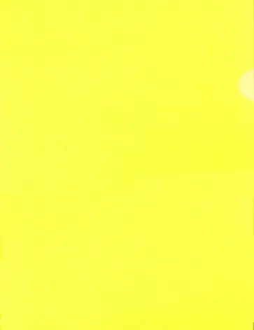 Папка-уголок, A4, желтая обложка книги