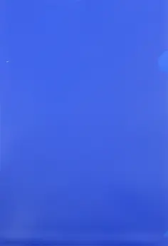 Папка-уголок (A4, пластик, 0.18мм, синяя) (E310N/1BLU) обложка книги