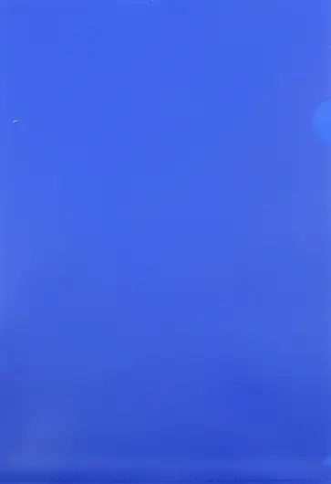 Папка-уголок (A4, пластик, 0.18мм, синяя) (E310N/1BLU) обложка книги