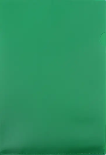 Папка-уголок (A4, пластик, 0.18мм, зеленая) (E310N/1GR) обложка книги