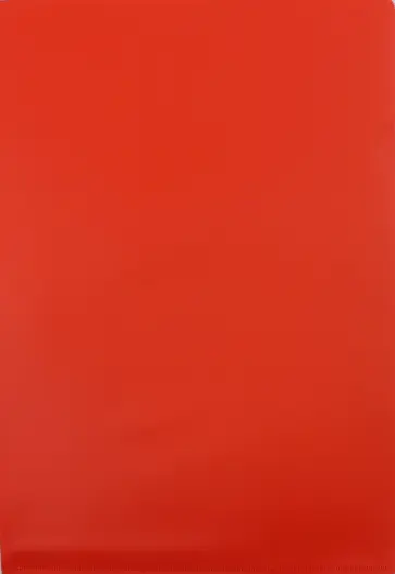 Папка-уголок (A4, пластик, 0.18мм, красная) (E310N/1RED) обложка книги