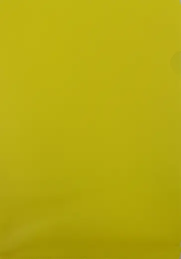 Папка-уголок (A4, пластик, 0.18 мм, желтая) (E310N/1YEL) обложка книги