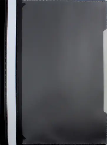 Папка-скоросшиватель (A4, черная) (PS-K20BLCK) обложка книги