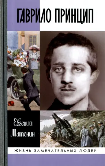 Евгений Матонин - Гаврило Принцип обложка книги