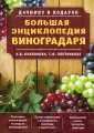 Колпакова Анастасия Витальевна