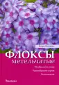 Матвеев Игорь Викторович