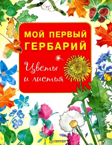 Мой первый гербарий. Цветы и листья. ФГОС Мой первый гербарий. Цветы и листья. ФГОС обложка книги
