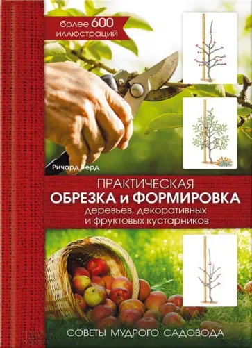 Ричард Берд - Практическая обрезка и формировка деревьев, декоративных и фруктовых кустарников обложка книги