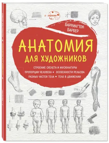 Баррингтон Барбер - Анатомия для художников обложка книги
