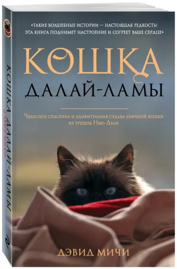 Дэвид Мичи - Кошка Далай-Ламы. Чудесное спасение и удивительная судьба уличной кошки из трущоб Нью-Дели обложка книги