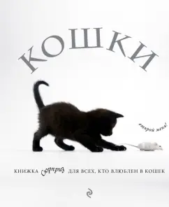 Мягкая игрушка-книжка 