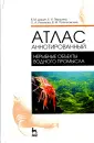 Першина Елена Ивановна