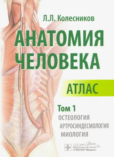 Лев Колесников - Анатомия человека. Атлас в 3-х томах. Том 1. Остеология, артросиндесмология, миология Лев Колесников - Анатомия человека. Атлас в 3-х томах. Том 1. Остеология, артросиндесмология, миология обложка книги