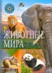Миниатюра 1